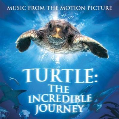 Turtle: The Incredible Journey album cover
