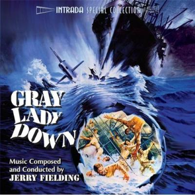 Cover art for Gray Lady Down