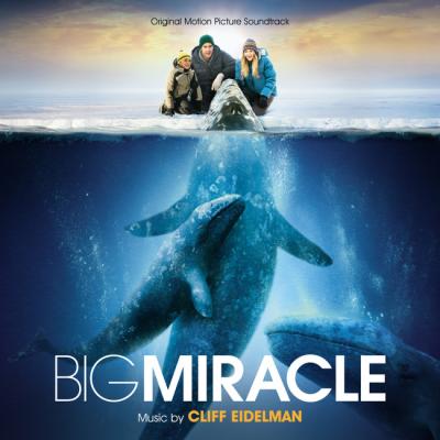 Cover art for Big Miracle