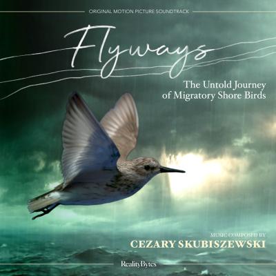 Flyways: The Untold Journey of Migratory Shore Birds (Original Motion Picture Soundtrack) album cover